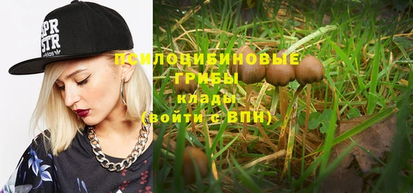 PSILOCYBIN Алексеевка