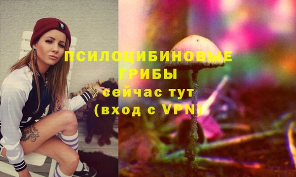 ешки Алзамай