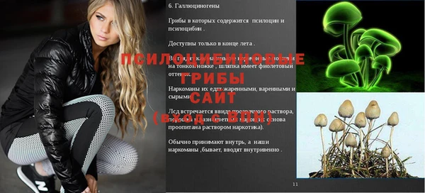 PSILOCYBIN Алексеевка