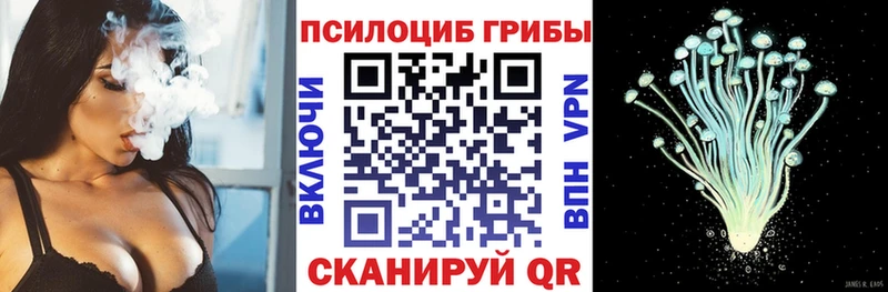 Псилоцибиновые грибы прущие грибы что такое Омск